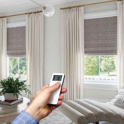 Motorized Blinds