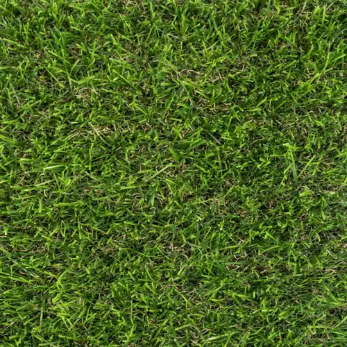 Daleside artificial grass carpet with soft green tones and realistic texture.