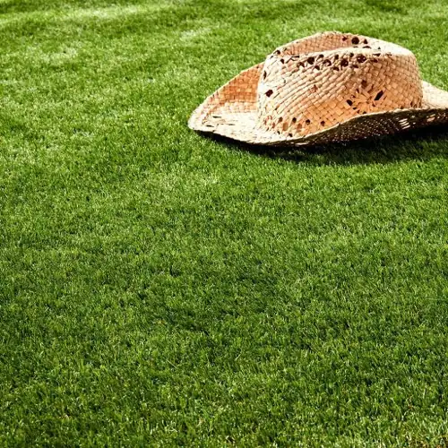 Hollywood artificial grass carpet with vibrant green color and dense pile.