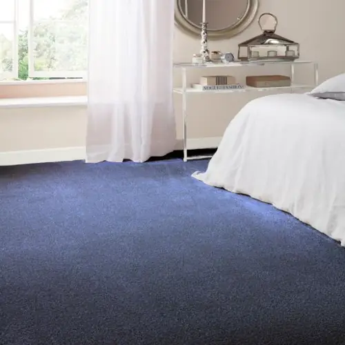 Malta Royal Blue Carpet showcasing vibrant royal blue tones with a sleek, durable texture—perfect for adding a bold and luxurious touch to modern living and commercial spaces.