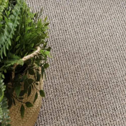 PRIUS wall-to-wall carpet collection featuring a modern, minimalist design with durable texture—perfect for contemporary offices and stylish living spaces in Dubai.