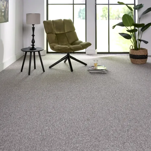 Pacific Loop Berber Carpet