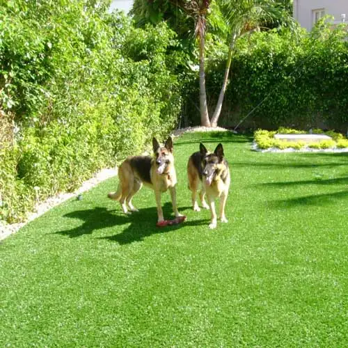 Pet-friendly artificial grass carpet with soft, safe fibers