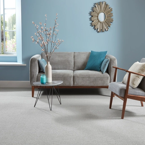 Rae Loop Pile carpet for durable Dubai flooring