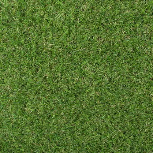 Sherbrooke artificial grass carpet with lush green tones and lifelike, premium texture.