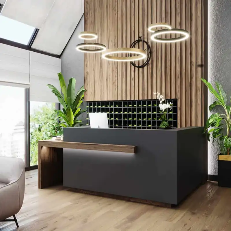 Office reception area with modern furniture